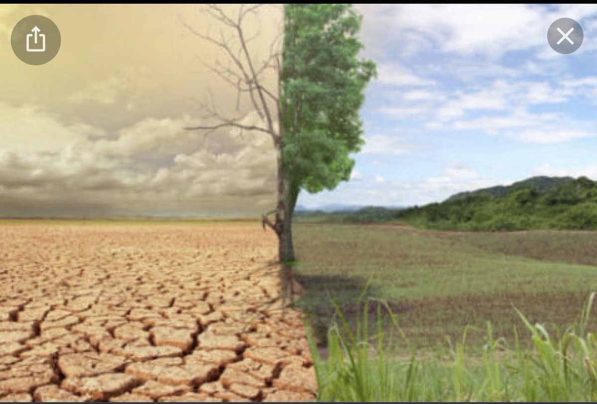 #اليوم العالمي لمكافحة التصحر 🌳🌴
 ١٧يونيو