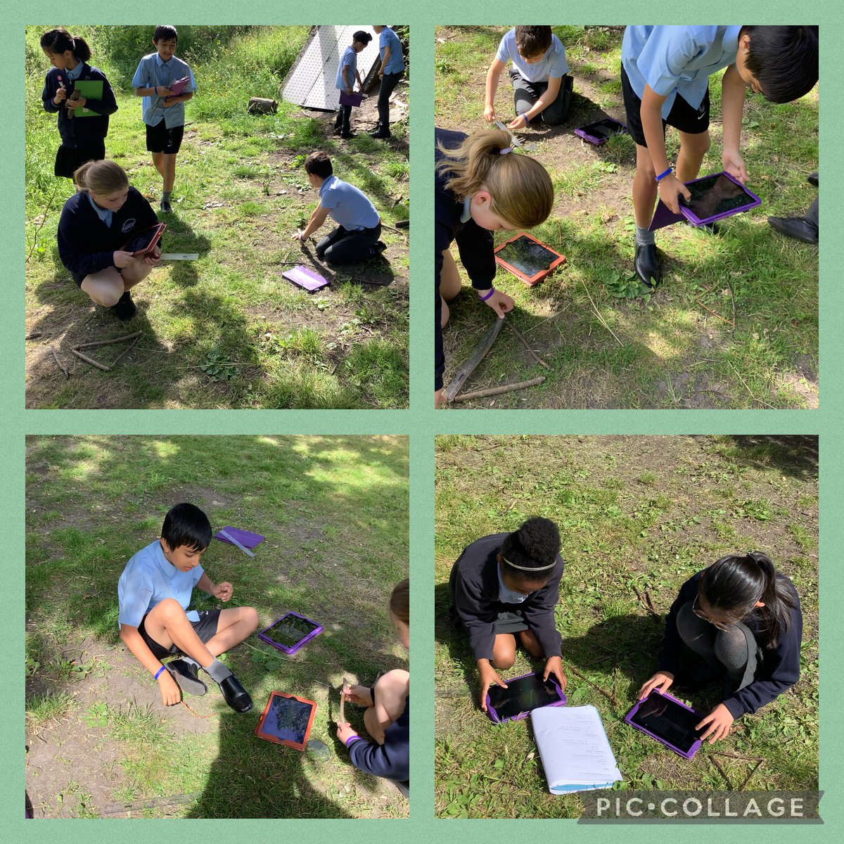 Whitefield Primary - Year 5 tweet media