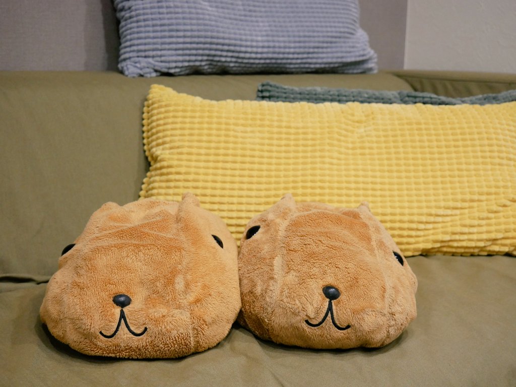 アヤノ tweet media