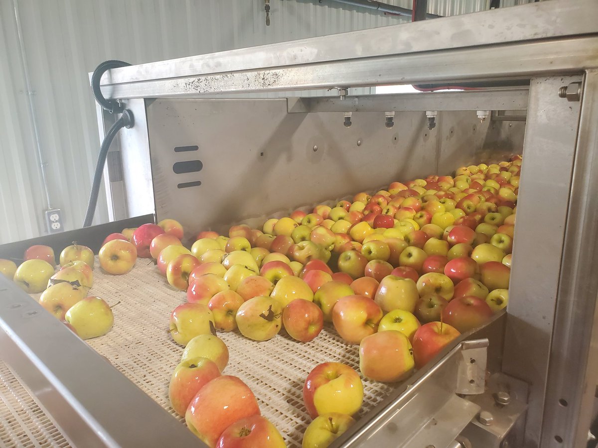 Huge thanks to all of the growers, researchers and organizers for the Young Apple Farmers tour yesterday 🍎🍏🍎 Special thanks to @ontarioapples for the invitation and coordination!