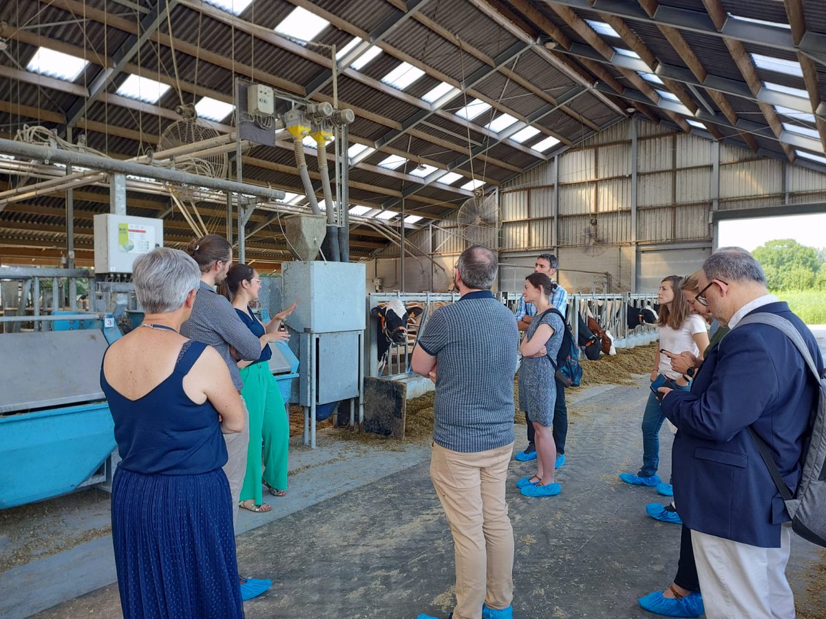 KUL_LT's tweet photo. @KUL_LT was grateful to host researchers of @AgroBioTech, Centre Wallon de Recherches Agronomiques (CRA-W), Association Wallonne des Eleveurs (AWE) and the research farm Hooibeekhoeve to discuss ongoing research and future collaborations. #research #NIR #MIR #dairy #Belgium https://t.co/SU4ifufA7V