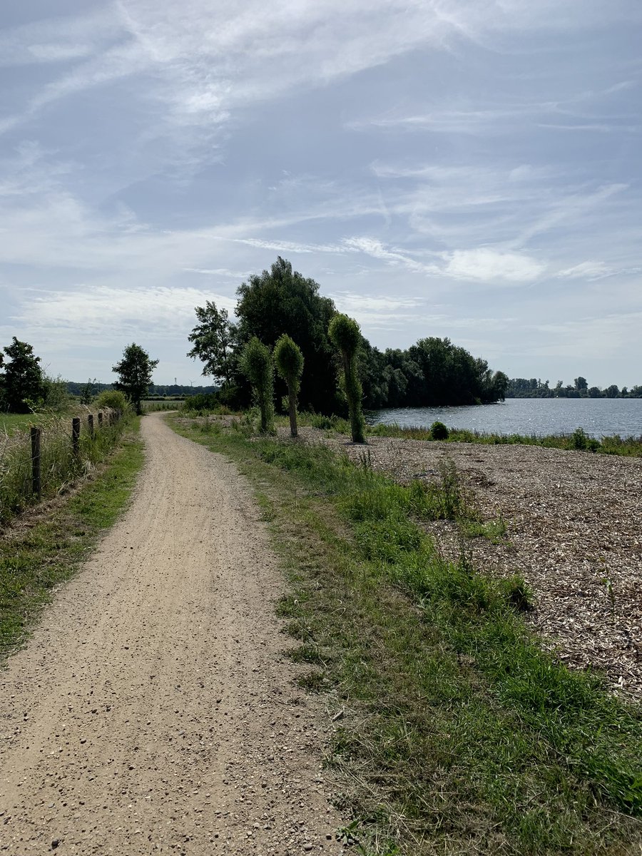 Heute erst ne Tradi Rund um einen See angefangen. Nach 4 DNF auf 11 Dosen haben wir abgebrochen. Dann mal geschaut was es noch so gibt und ein paar nette Dosen gefunden. Geht doch. #CacheFrequenz #GoGeocaching