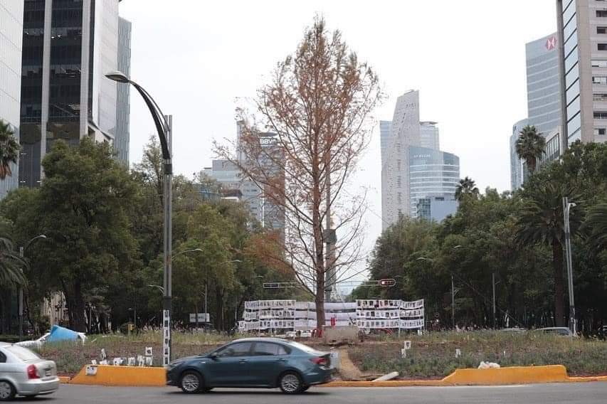 MamonasNoticias's tweet photo. #Ahuehuete #AhuehueteDelBienestar #mananera
Así sembraron el Ahuehuete de Reforma y así quedó una semana después. Todo lo que toca la 4T lo hace mierda https://t.co/ySwK9soLiE
