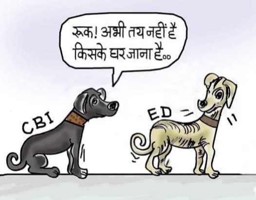 DubejiINC's tweet photo. Caged parrot 🦜 nahi Pet Dog 🐕 bankar reh gaye hai yeh! https://t.co/5QMyCdG3Wk