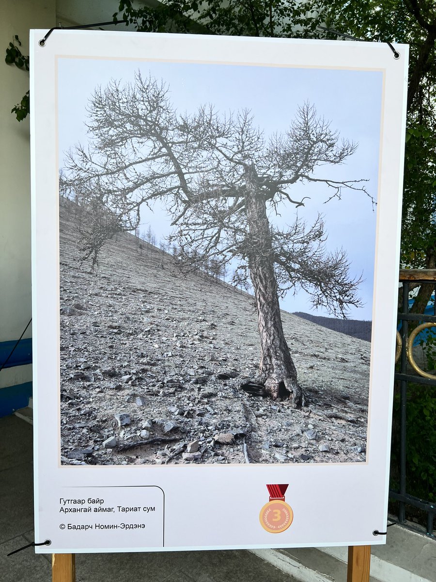🌏Уур амьсгалын өөрчлөлт, 🏜цөлжилтийн гэрэл зургийн уралдааны ялагчид тодорлоо

🥇Ганцолмонгийн Наранцацралт, Булган аймаг Сайхан сум 

🥈Хуягтбаатрын Халиунгоо, Дорноговь аймаг 

🥉Бадарчийн Номин-Эрдэнэ, Архангай аймаг, Тариат сум