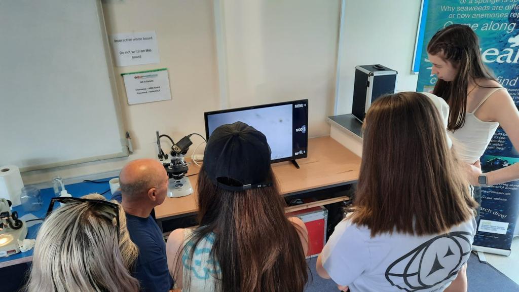 Looking at #plankton through the microscope camera with Dave Conway...so much amazing marine life living on the seaweed! 

#DToLBioblitz #MBABioblitz @MarClim_UK <a href="/CPRSurvey/">The Continuous Plankton Recorder (CPR) Survey</a>