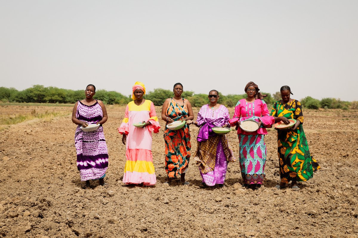 UN Women Africa tweet media