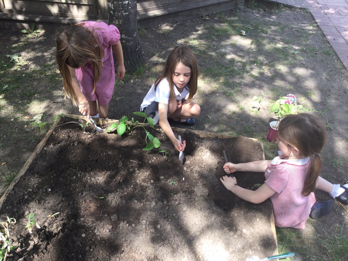 ThamesideSch's tweet photo. Year 1 have been busy in the garden this week too. Thank you to everyone who kindly donated plants and seeds and to the Year 6’s who helped us fill our raised beds with soil.😊🪴🌱 #Year1tps #YSCtps #YRStps #belongingtps #sciencetps https://t.co/eSMGEfB5Os