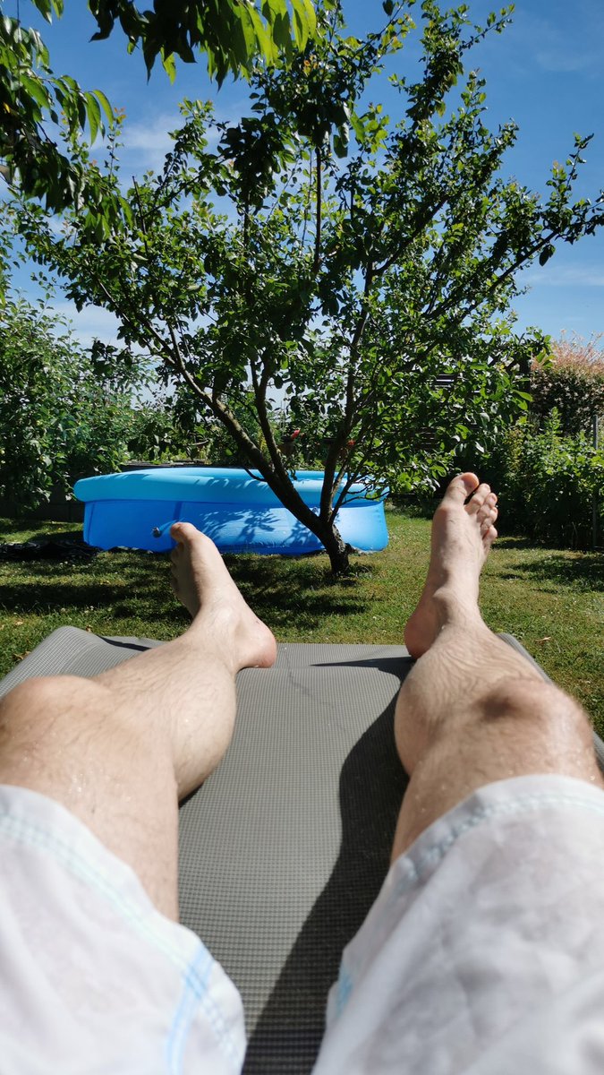 Christopher Donnelson tweet media