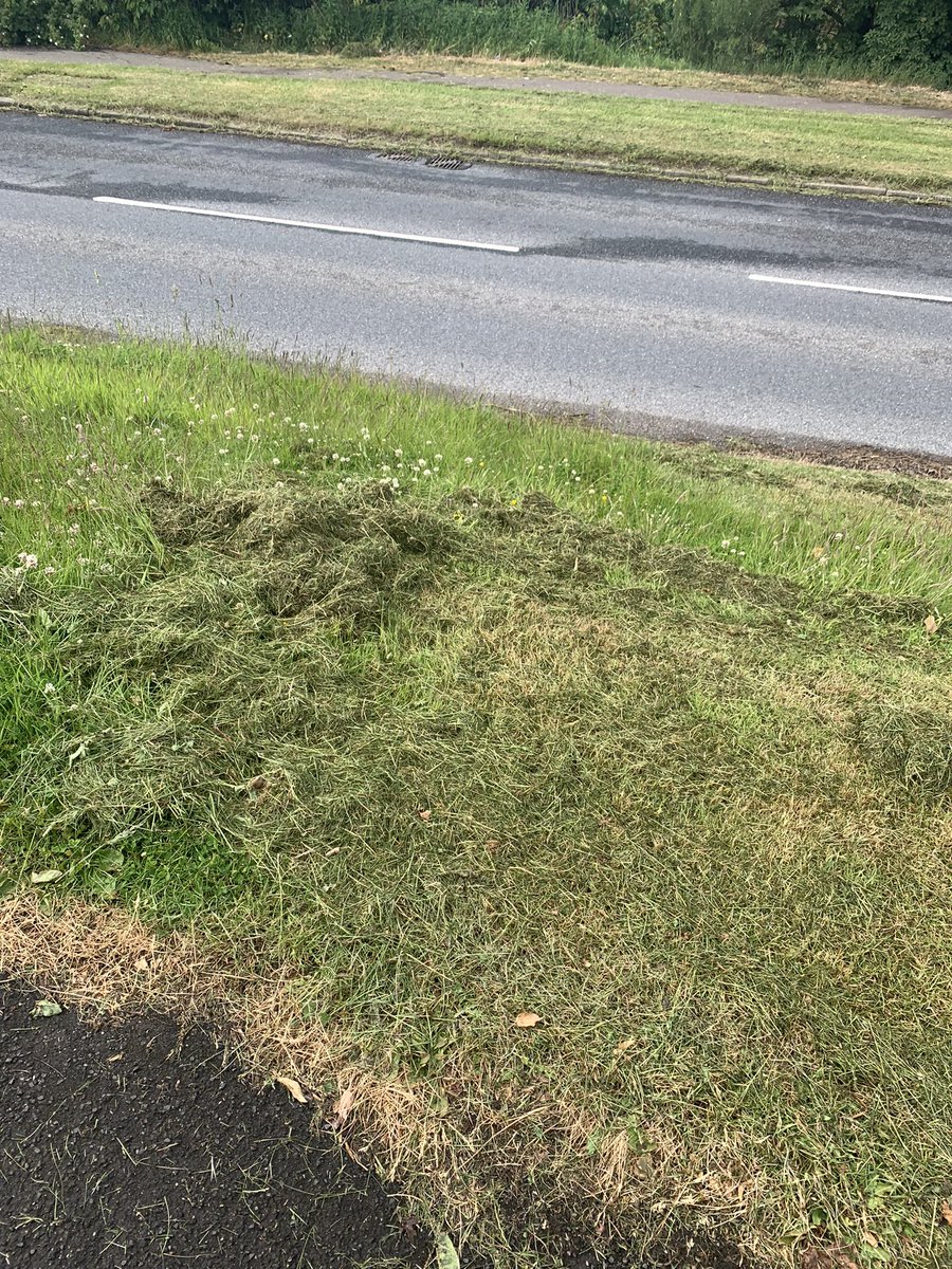 clarabellebear's tweet photo. @DundeeCouncil what is this all about, should be ashamed to leave paths like this….disgusting https://t.co/GIjqGMQuob