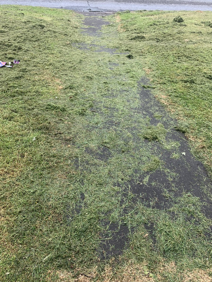 clarabellebear's tweet photo. @DundeeCouncil what is this all about, should be ashamed to leave paths like this….disgusting https://t.co/GIjqGMQuob