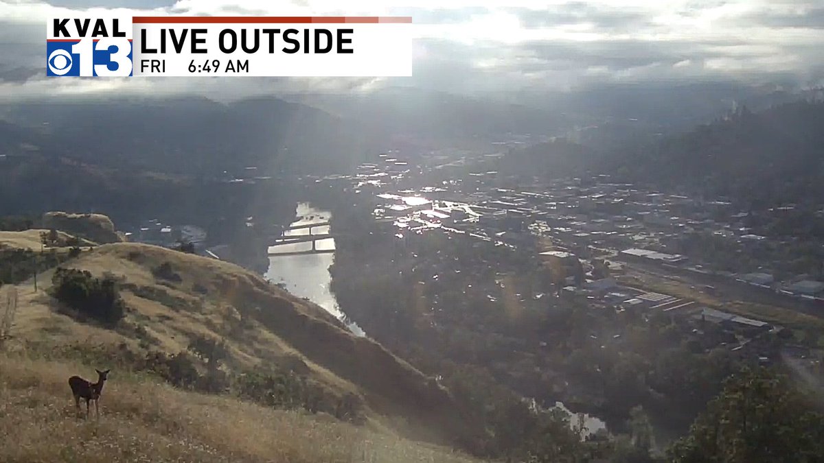 A nice sun break in the morning showers down in Roseburg paved the way for a photogenic visitor. Oh deer...