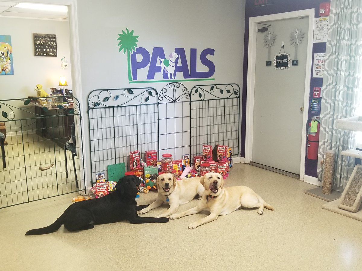 JFicklingJan's tweet photo. Thank you to our MES Mustangs for supporting PAALS through our PAALS service project!! The gift cards and supplies have been delivered and PAALS is so appreciative! #mesHEART @Midway_Mustangs @LexingtonOne https://t.co/K4ezoPtJ2f