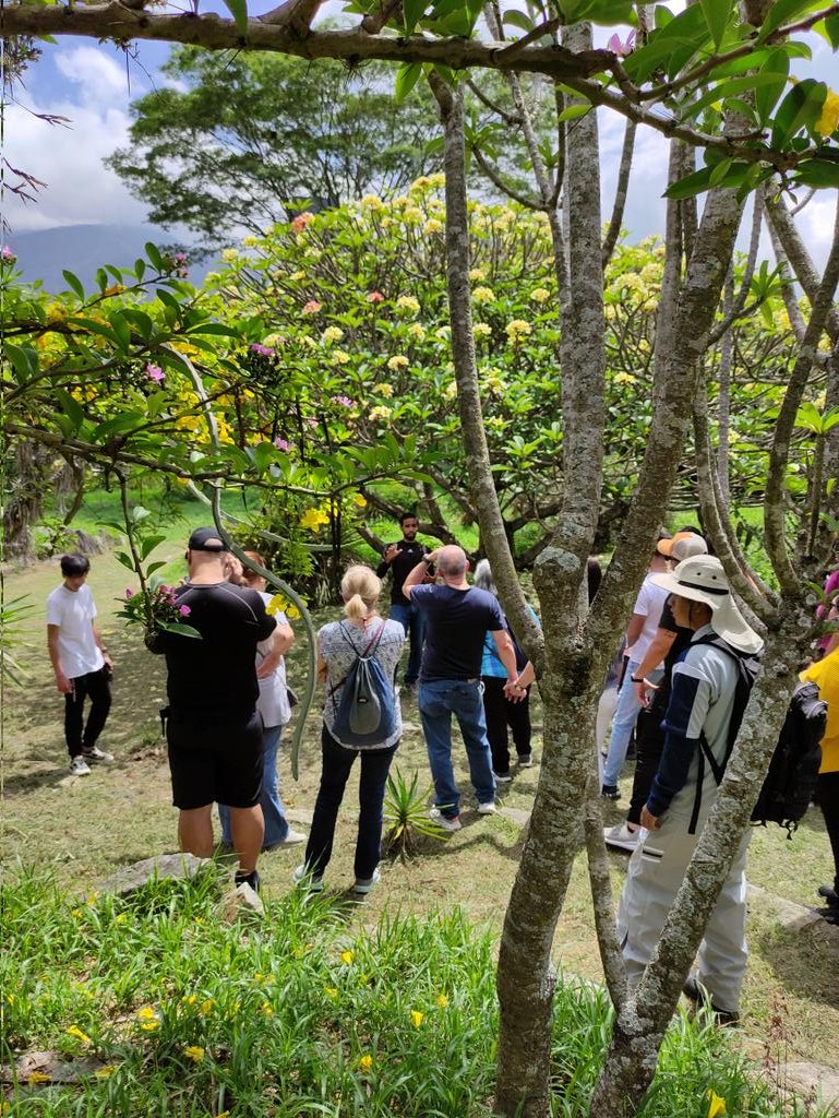Personas visitando el jardín botánico en una de las visitas guiadas.

Estamos abiertos de lunes a viernes de 8:30am a 12 m. y sábados hasta las 2:00pm. Los domingos no trabajamos.