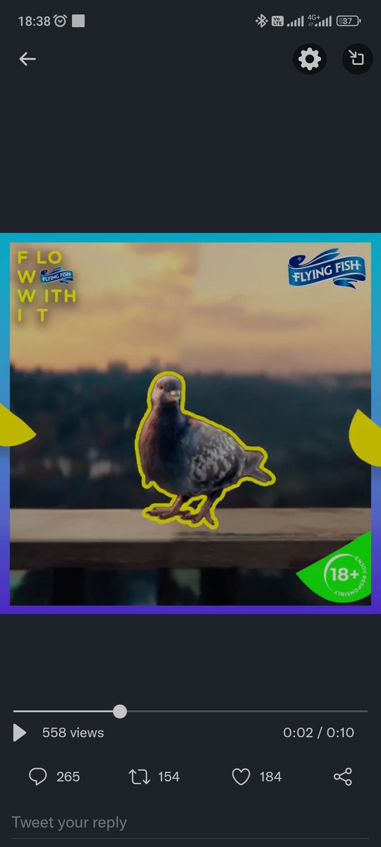 ricadyn's tweet photo. @FlyingFishSA #flyday https://t.co/82eMbAMIlz