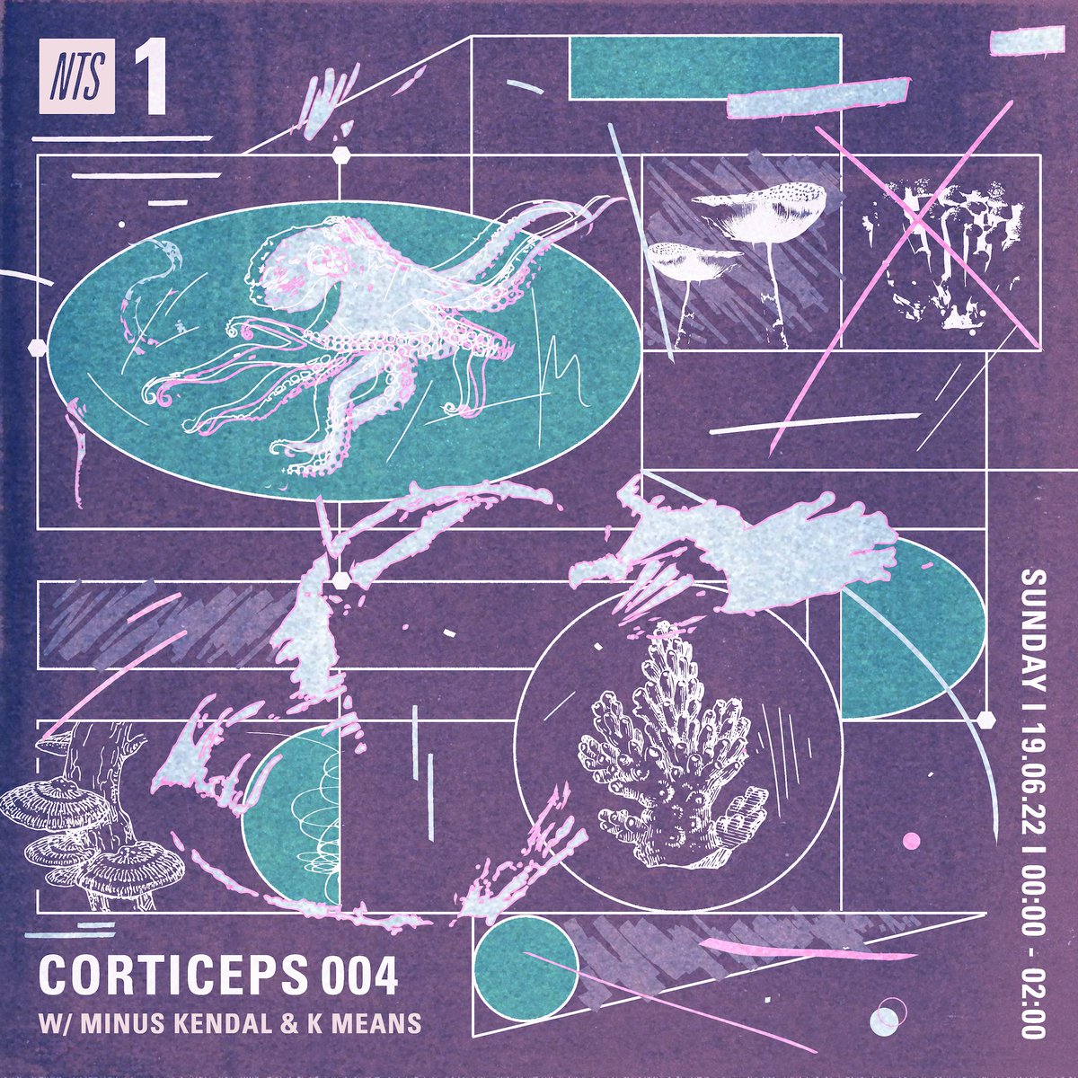 NTSlive's tweet photo. Corticeps004 features @kmeansmusic alongside Minus Kendal this month - keep it locked: https://t.co/OqHFPMxLMX https://t.co/Q1TeWR34Au