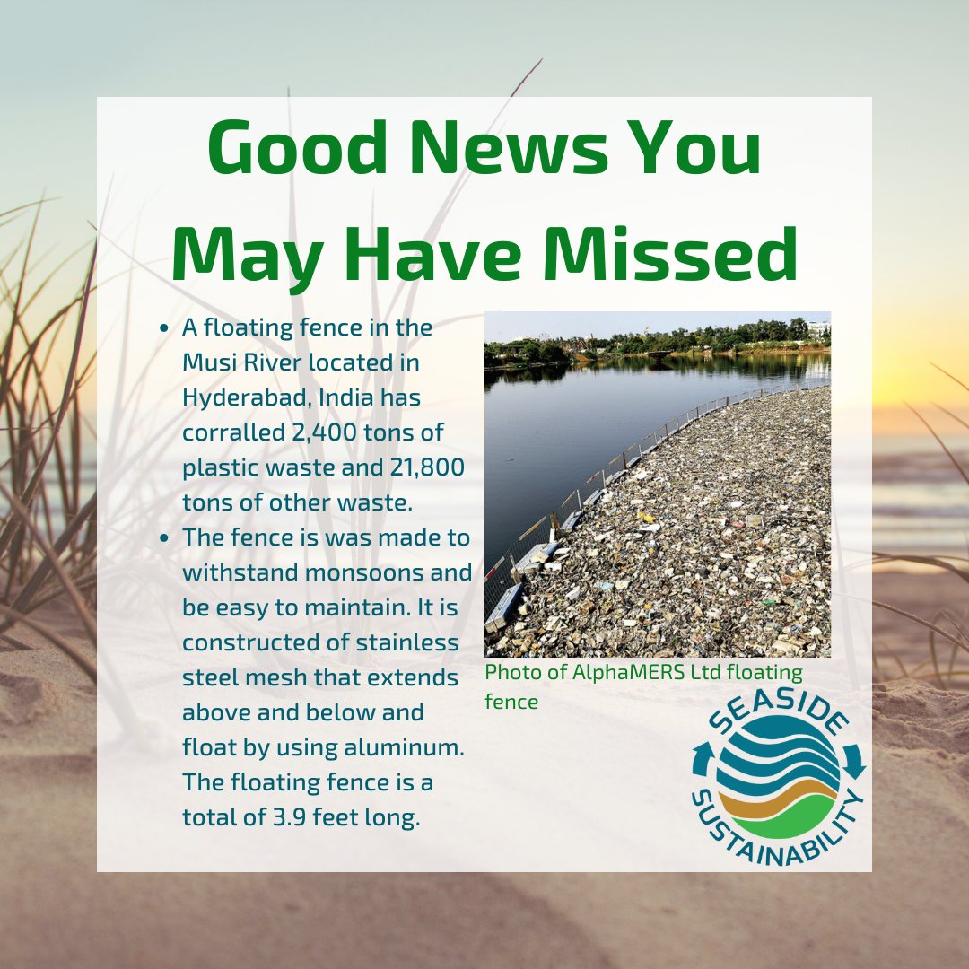 seasusinc's tweet photo. No need to get crabby 🦀This week's Good News Post is here!

#SeasideSustainability #Sustainability #Environment #SaveOurPlanet #GoodNews #Recycle #Reduce #PlasticFree #LimitWaste #Plastic #SaveThePlanet #Friday https://t.co/bRnfaoH31G