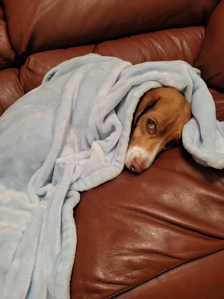 It’s only 100, kinda chilly