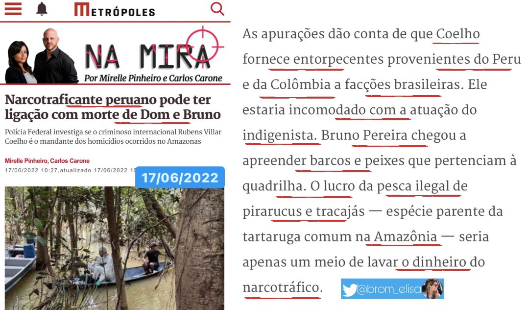 Elisa Brom tweet media