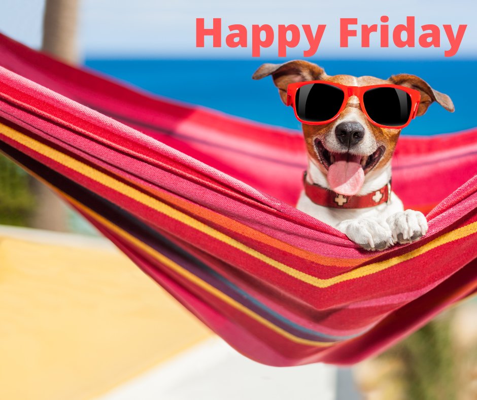 HAPPY FRIDAY...because everyone deserves to live their best life! How will you spend it? #friday #lovefriday #endoftheweek #itsfriday #happyfriday #itstheweekend #startyourweekend