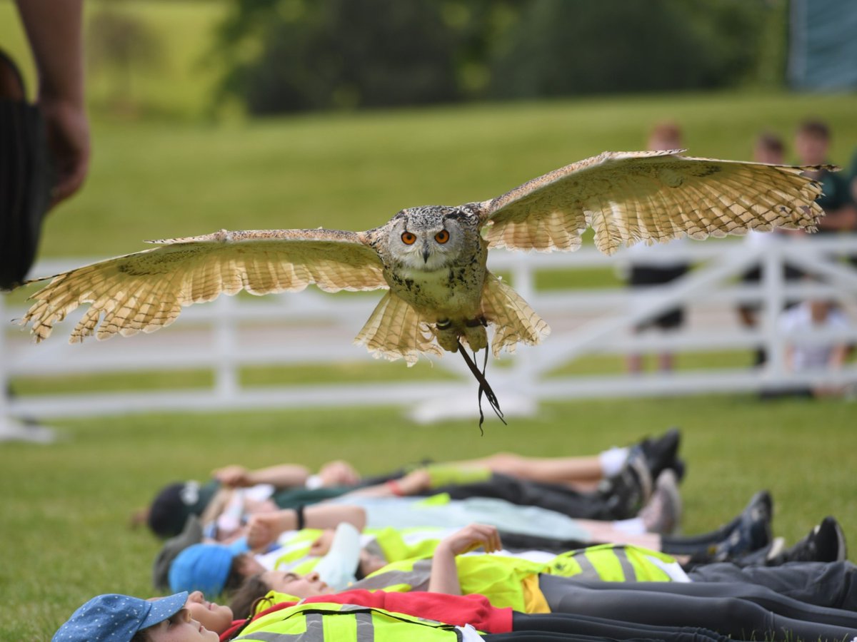YorksAgSoc's tweet photo. A big thank you to all the children that attended Countryside Days.

We're thrilled to be able to organise events like this that help introduce children to ways of enjoying, and caring for, the countryside.

We hope that you enjoyed your day us &amp; hope to see you again soon! https://t.co/hTXjhTqbFf