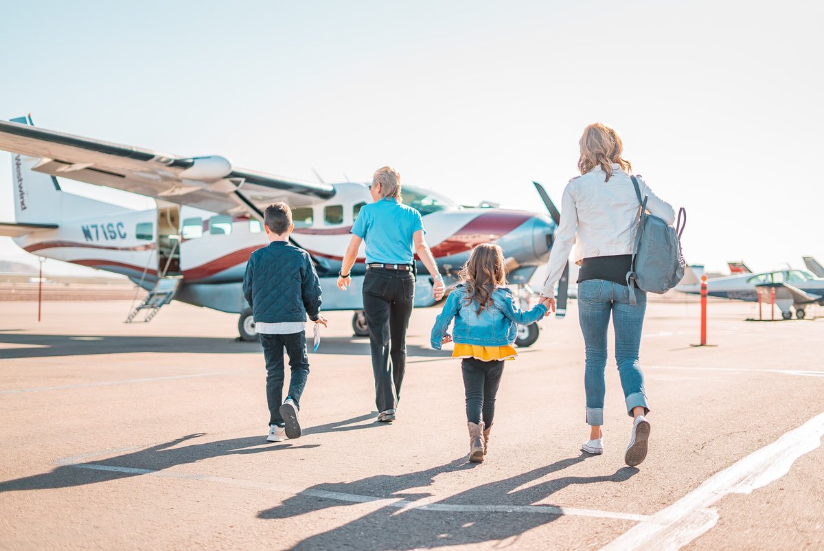 PeploBio's tweet photo. Holidaying abroad this summer?

Want a chance to win our family sized bundle of 5 x lateral flow tests free of charge? 

Follow this link to find out how to win: https://t.co/tY12kaY74k

#travel #testing #travelsafe #holiday #UK #free #raffle #lateralflow #freelateralflow #summer https://t.co/TzmML85bTI