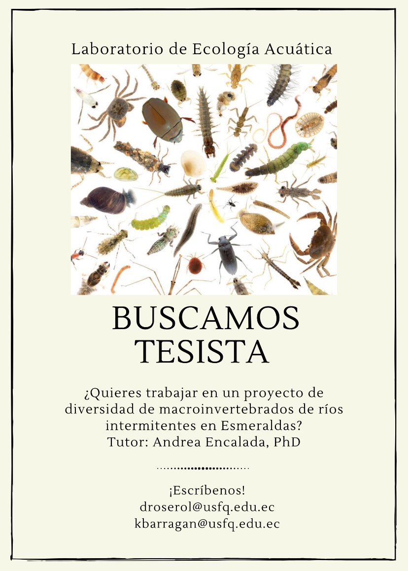 Buscamos 👓tesista 👩🏽‍🔬👨🏿‍🔬