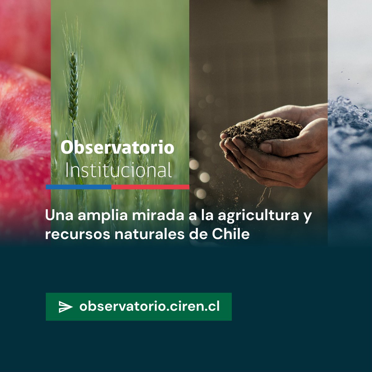 datawheel_es's tweet photo. (3/3) https://t.co/KDEByJde6s visualiza más de 25 años de información agrícola, de suelo y clima de Chile levantada por @CIREN_CHILE.

El sitio incluye una herramienta para crear y descargar visualizaciones y tablas de datos personalizadas. https://t.co/JuEg2Q2lHu