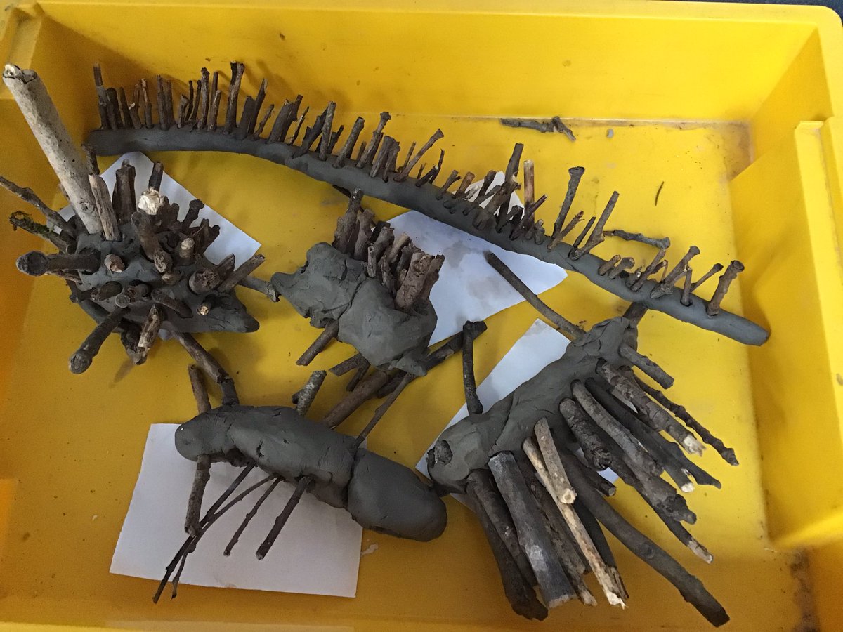 StanFoxClass's tweet photo. Getting creative at Forest School. Woodland bugs 🐜! https://t.co/EXq4KzgWMn