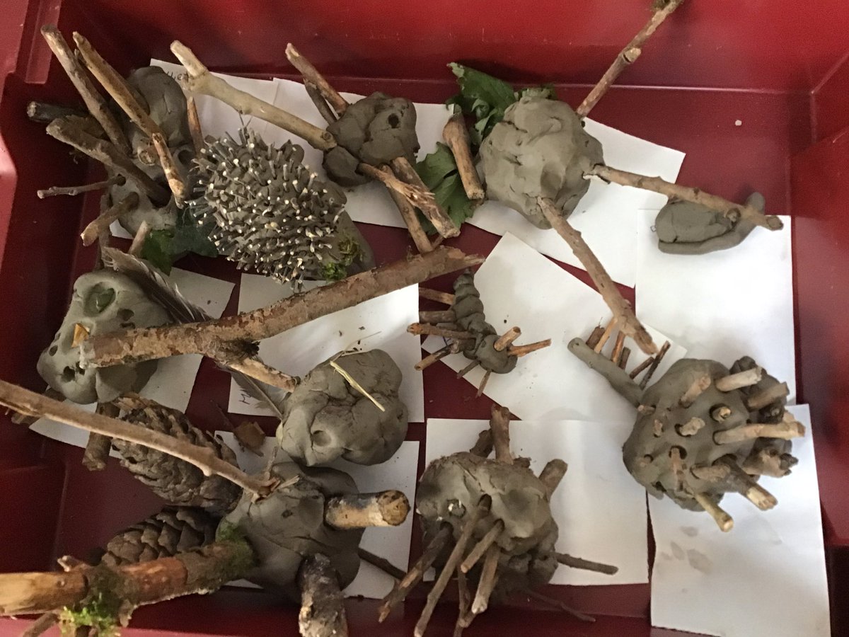 StanFoxClass's tweet photo. Getting creative at Forest School. Woodland bugs 🐜! https://t.co/EXq4KzgWMn