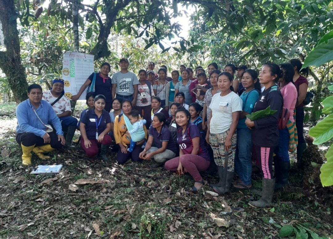 ProyectoAtpa's tweet photo. #NAPO mediante el proyecto #ATPA en coordinación con #PROAmazonia e #IICA capacitaron en las #ECAS en la comunidad Atacapi donde se impartió la unidad 2.Manejo Sostenible del cultivo de cacao (variedades, características, prácticas agronómicas que mejoran el cultivo de cacao ) https://t.co/DDIsaIC79E