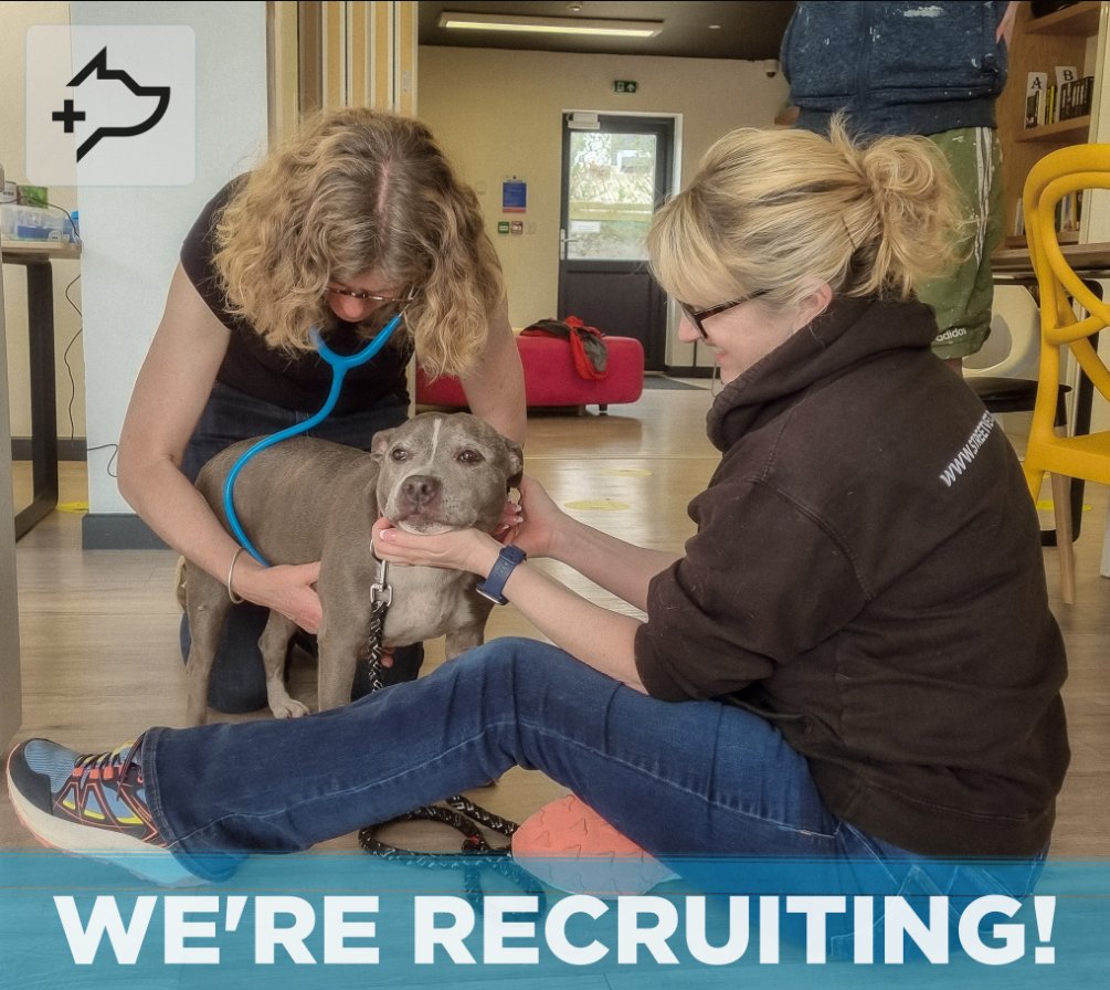 We are recruiting a full time Clinical Case Manager to manage the growing number of clinical requests for StreetVet support. 

This is an exciting opportunity to make a tangible difference to both people and their pets. Click the link to find out more:

streetvet.co.uk/jobs/