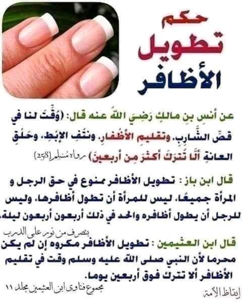 محمد شعبان عبد المقصود (@sh_almqswd) on Twitter photo 