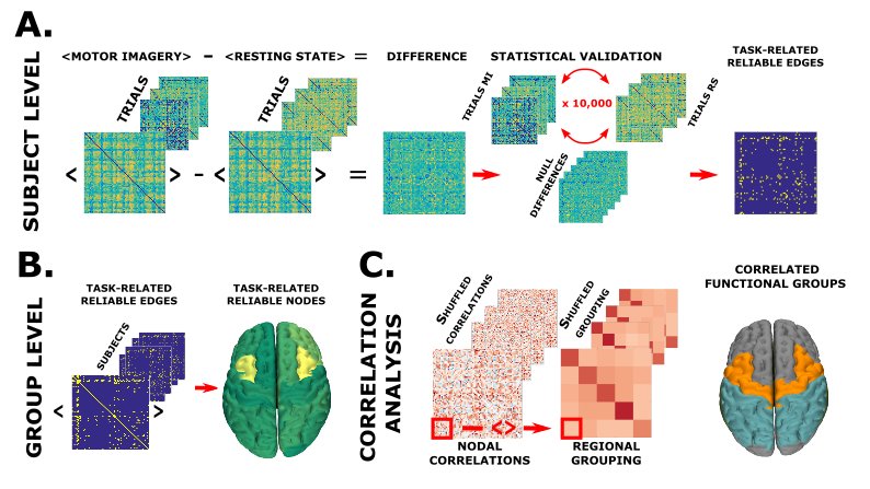 PierpaSorre's tweet photo. Which parts of brain signals truly capture large-scale communication? Concepts from critical dynamics are applied to capture task-related processes and improve brain-computer interfaces. Thanks to the great @MCorsi, @HbpWp1 @DaniSBassett @HumanBrainProj  https://t.co/zG353nHP4z https://t.co/0oos9Mw3En