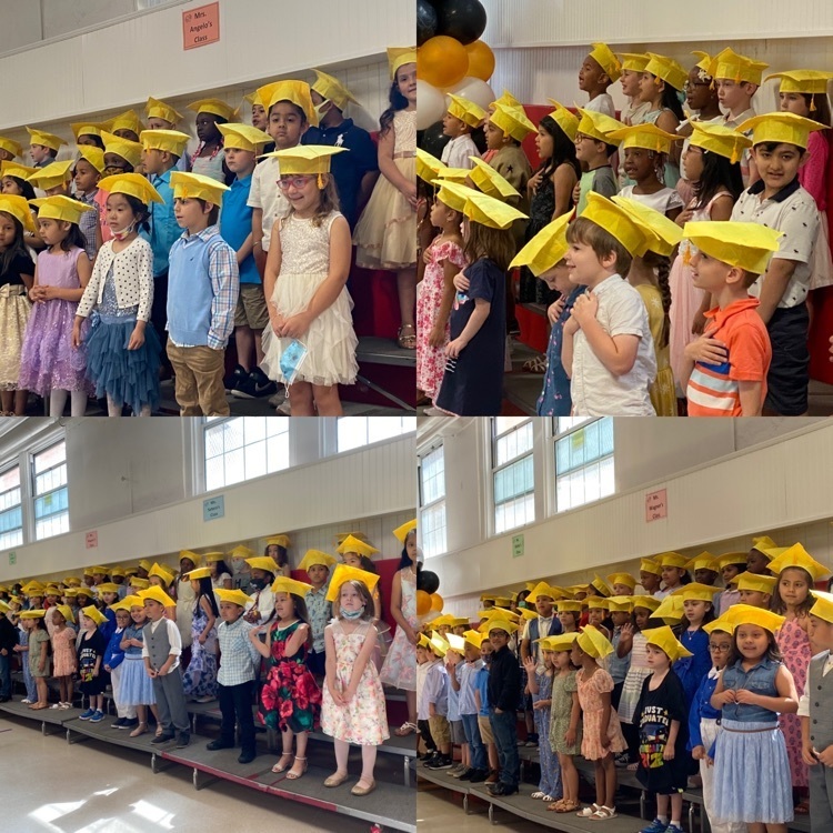 WhufsdRams's tweet photo. @WHChestnut Moving Up ceremony 2022! Congratulations and remember to read, write, listen, think, and speak critically. #RamPride #RamResolve https://t.co/CCPRtze6bF