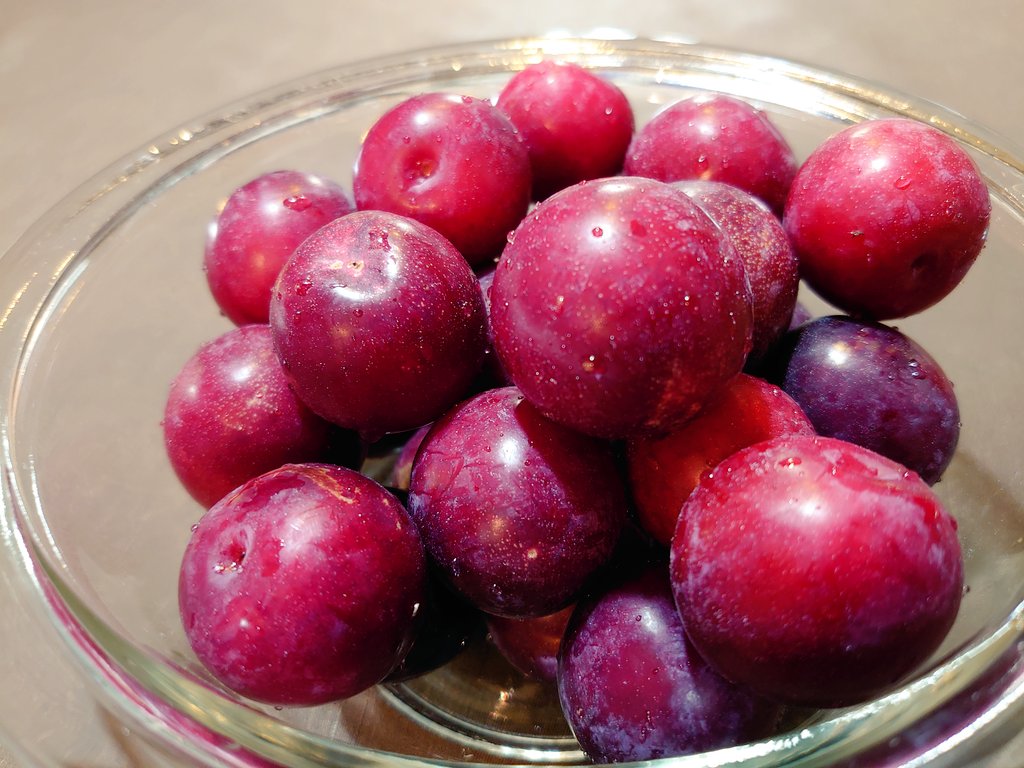 いとのくつ そういえば 今年もぼたんきゅうの季節です 木が複数本あるので何キロもとれる 触るとポロってとれるくらい木の上で熟してしまったので木登りしてたくさんとってきましたー 父と私と下の子しか食べないから減らないのです T Co