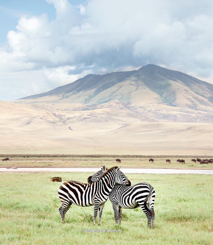 Magnificent landscape of Ngorongoro Highland (Malanja Depression)