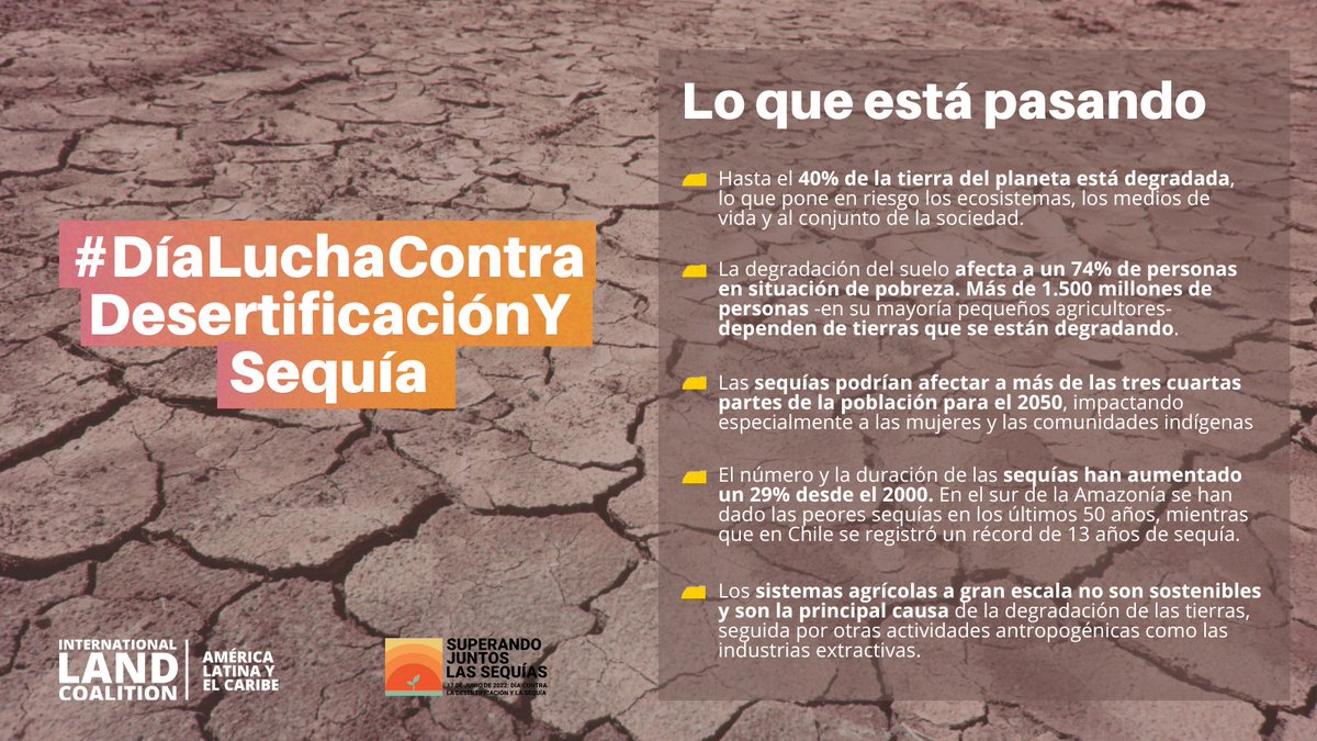 ⚠ La actividad humana ha degradado nada menos que el 40% de la tierra del mundo y 1.500 millones de personas viven ahora en esas tierras degradadas.

🌎 Compartimos un breve hilo para entender por qué es urgente que avancemos en la lucha contra la #desertificación y la #sequia