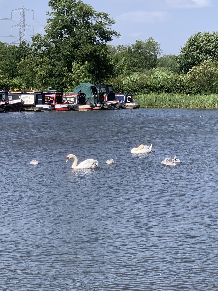 Chilling on the boat this weekend. Scorchio!