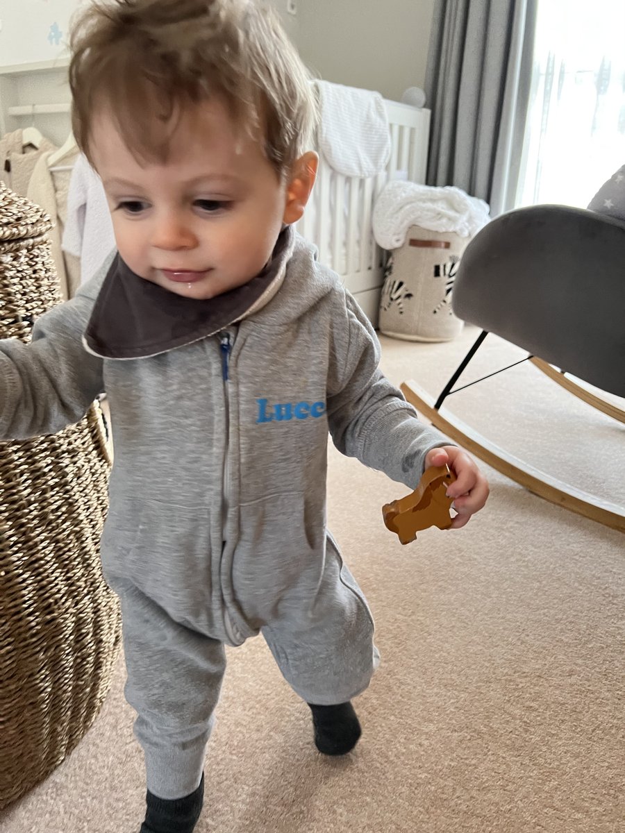 Coyote Software tweet media