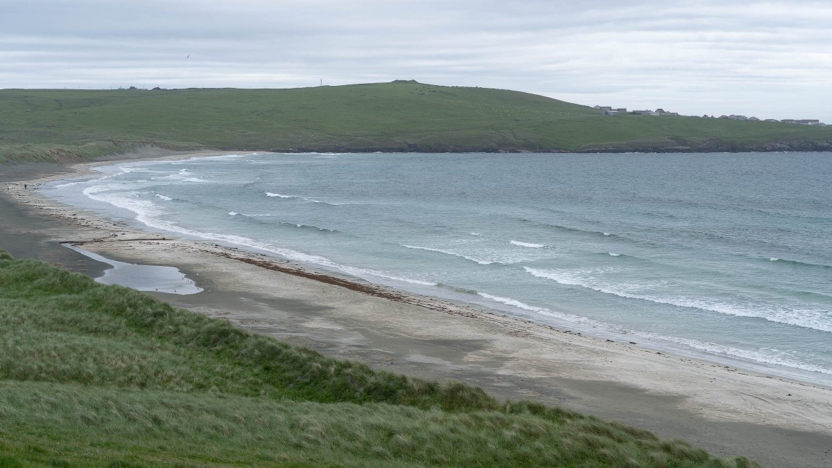 rossmackenzie's tweet photo. Coastal walking #QuendaleBay #Shetland #30DaysWild #Day17 #NoHeatwave https://t.co/mj8Xtw6PMy