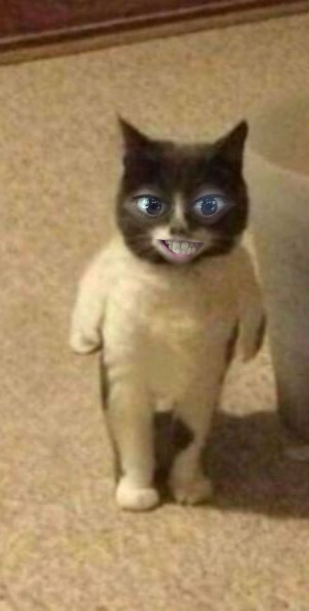 _MissInfinite's tweet photo. Me after my Spanish exam knowing that I forgot what "Me llevo bien" means #gcses2022 https://t.co/vCc2zXc0Wx