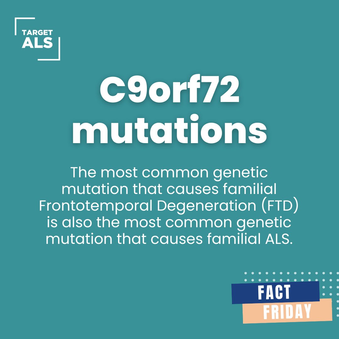 TargetALS_fdn's tweet photo. #DidYouKnow? The most common genetic mutation that causes familial Frontotemporal Degeneration (#FTD) also is the most common genetic mutation that causes familial #ALS - C9orf72. Learn more in our interview with the CEO of @AFTDHope, Susan Dickinson: https://t.co/xl1qvIzcsh https://t.co/GiCLGW1iyV