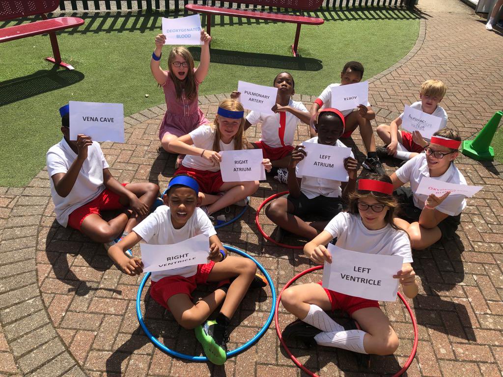 StjosephsLuton's tweet photo. 6PC have loved learning about how the heart works #6PC have big hearts ♥️ https://t.co/bAscHXRspV