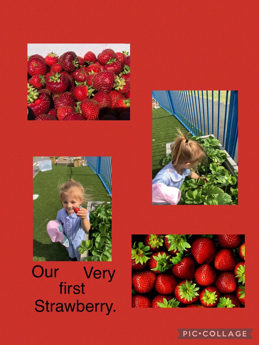 Mrs Shaw tweet media