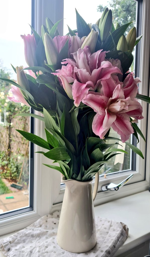 NFU Holland (Lincs) County Adviser tweet media