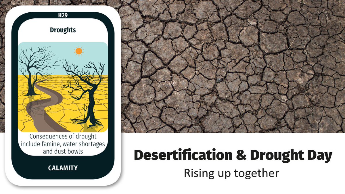🌵 Global companies in many industries, will be impacted by desertification and drought. Actions can be taken now to reverse land degradation, solutions exist, will your business lend a helping hand?

#SI #SustainabilityInstitute #WDCD2022 #desertification #combatdesertification