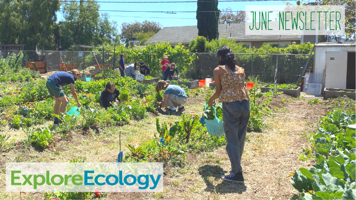 artfromscrap's tweet photo. Store Sale, Crafternoons, Herbal Salves, and More 🌱
Catch up with Explore Ecology in our June Newsletter  - https://t.co/8hDR5inwMn https://t.co/6qfPOBOU0h