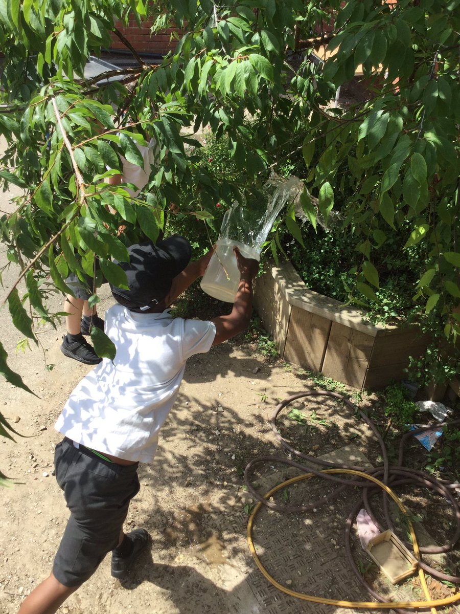 ThamesideSch's tweet photo. GLE spent time playing with water to think about the different sounds and sensations associated with it. We then wrote a poem all about water, drawing on what we had noticed #GLEtps #REtps https://t.co/uLTPzRKB6g