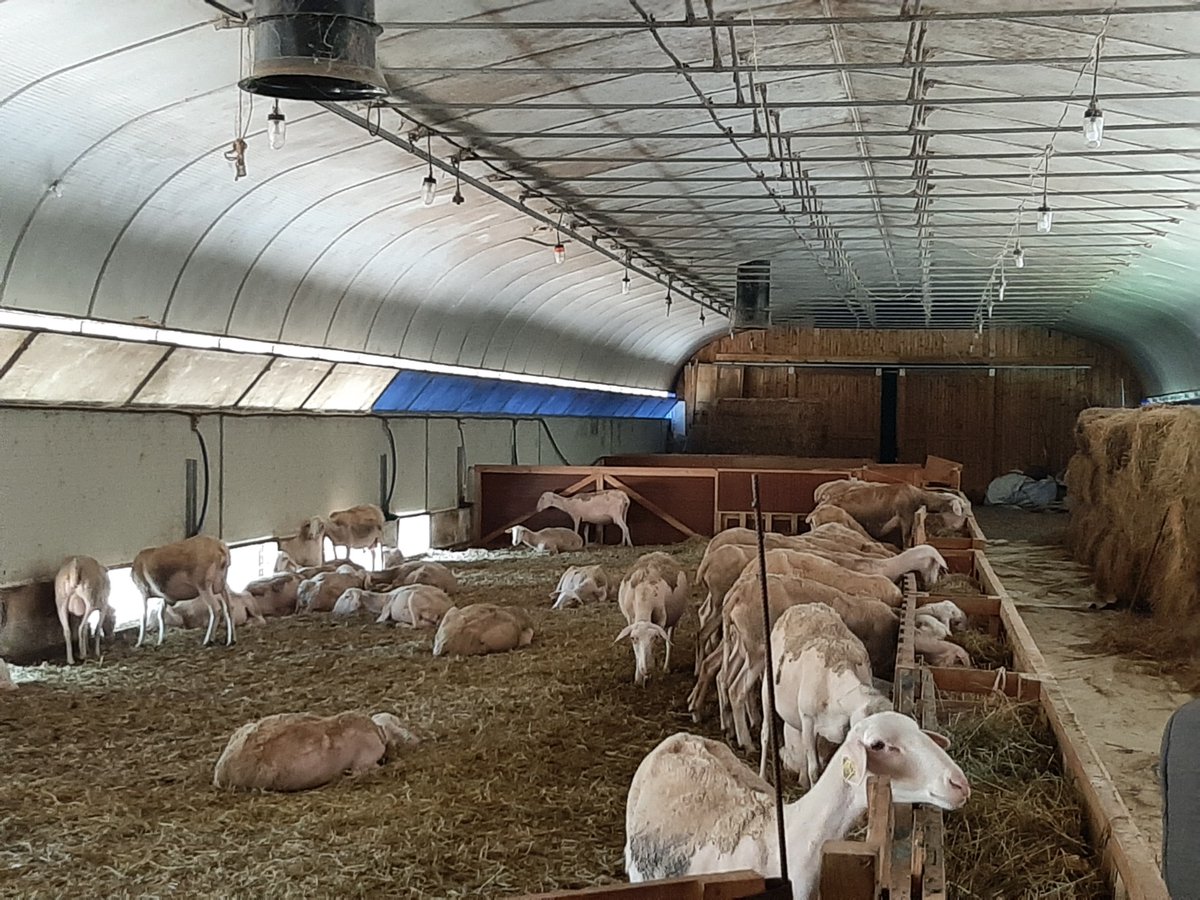 [BPAURA &amp; Initiative Vallée de la Drôme Diois] ✍️

Le 9 juin dernier, Henri BAUDOIN, Directeur du groupe Drôme Ardèche et Didier CHALAS, Président d’Initiative Vallée de la Drôme Diois se sont retrouvés pour signer le renouvellement de la convention de partenariat. 🤝